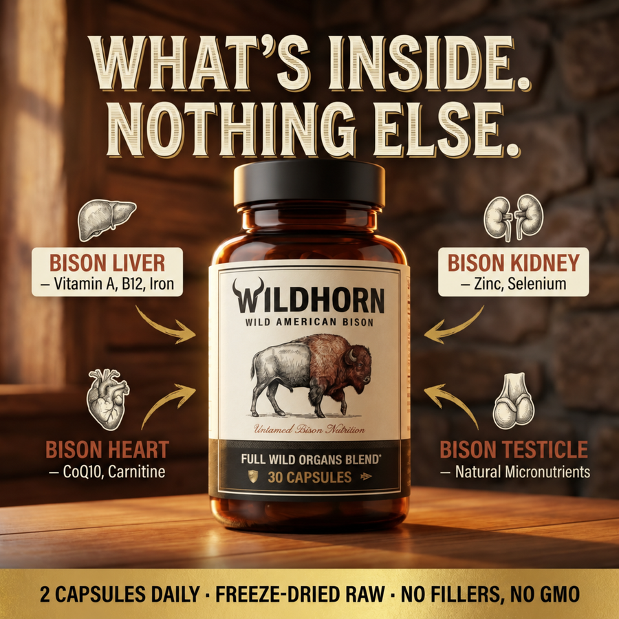 Wild Bison | 4 Wild Organs 4