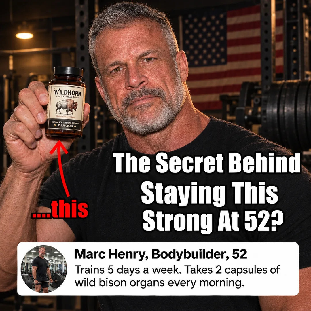 Wild Bison Testosterone Booster supplement by WILDHORN, showing the bottle with its label on a plain background.