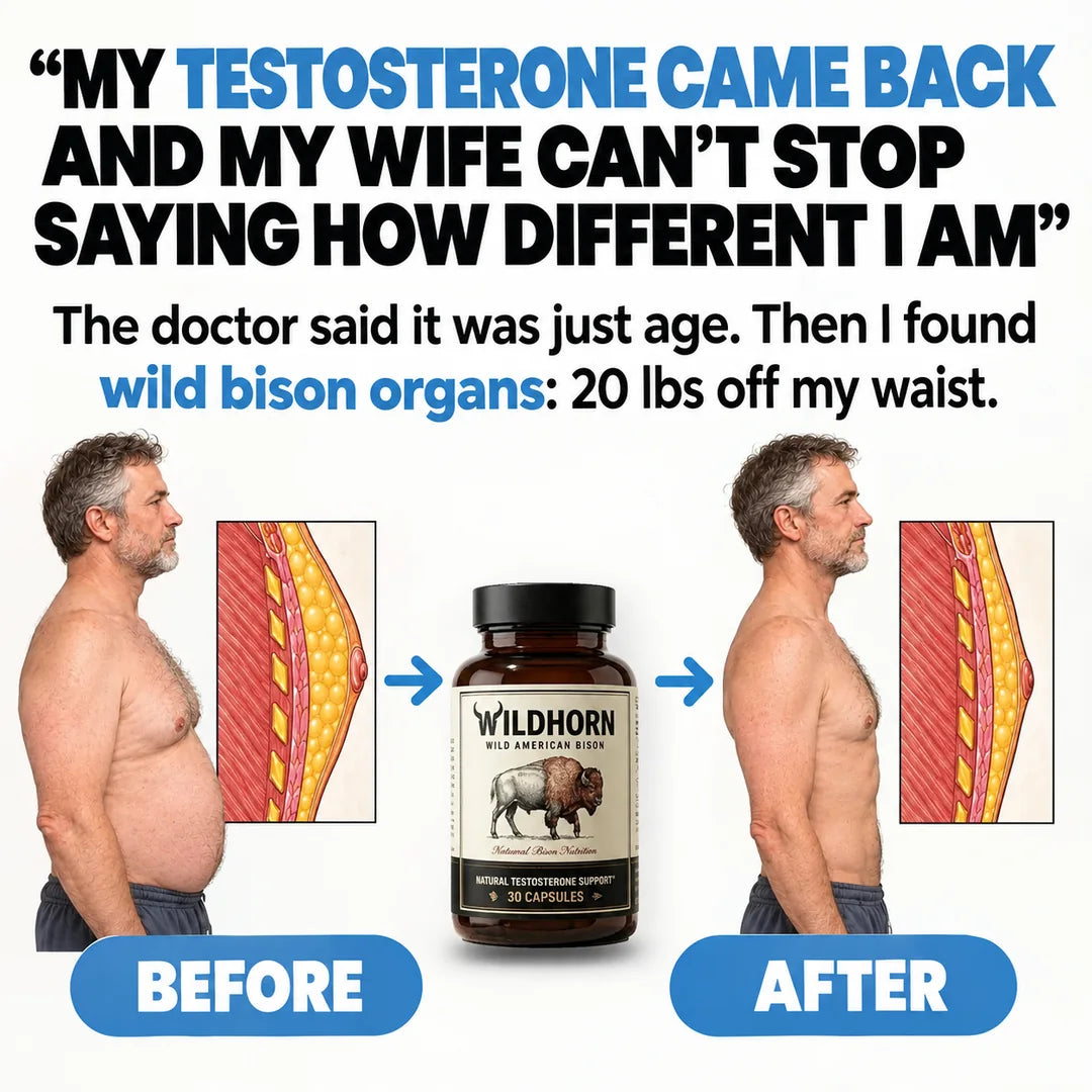 Wild Bison Testosterone Booster by WILDHORN, natural supplement bottle with label, designed for men's health and vitality.