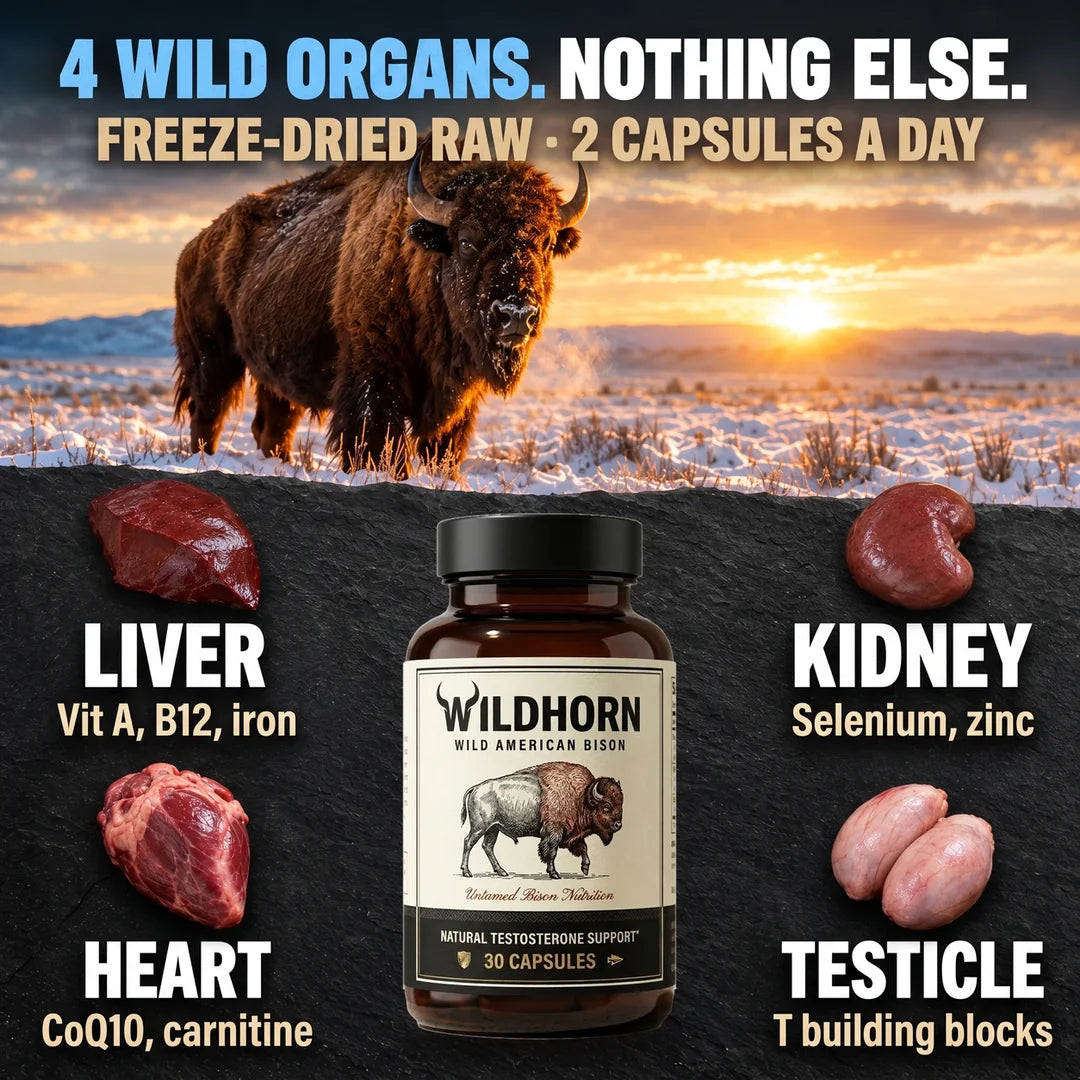 Wild Bison testosterone booster by WILDHORN, featuring natural ingredients and bison organ extract in a supplement capsule.