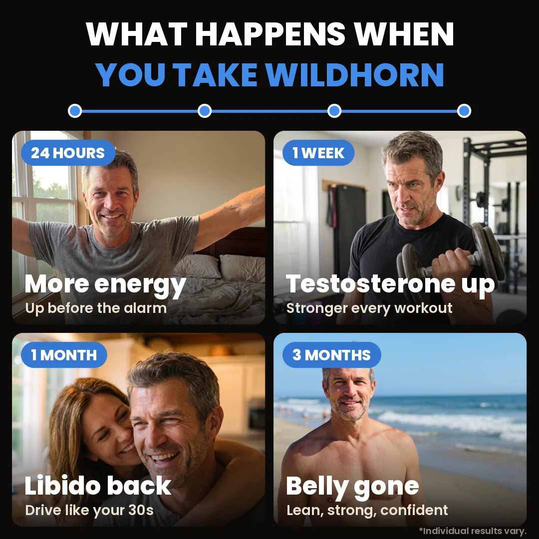 Wild Bison Testosterone Booster supplement by WILDHORN, shown in a sleek bottle with labels and product details on a clean background.