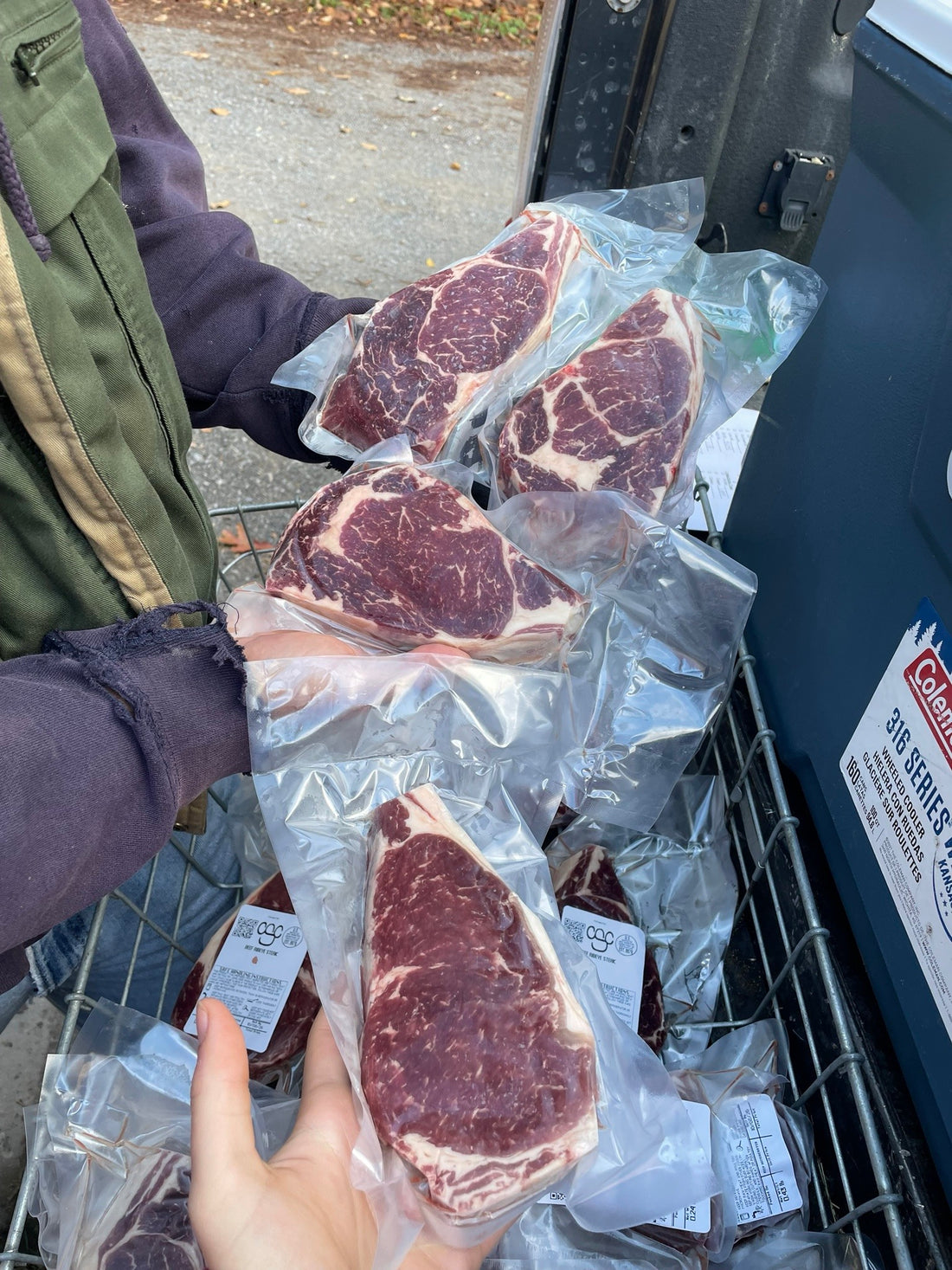 Grass-Fed vs Grain-Fed: Why It Changes Nutrient Density
