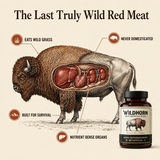 WILDHORN Wild American Bison | Natural Testosterone Support 7