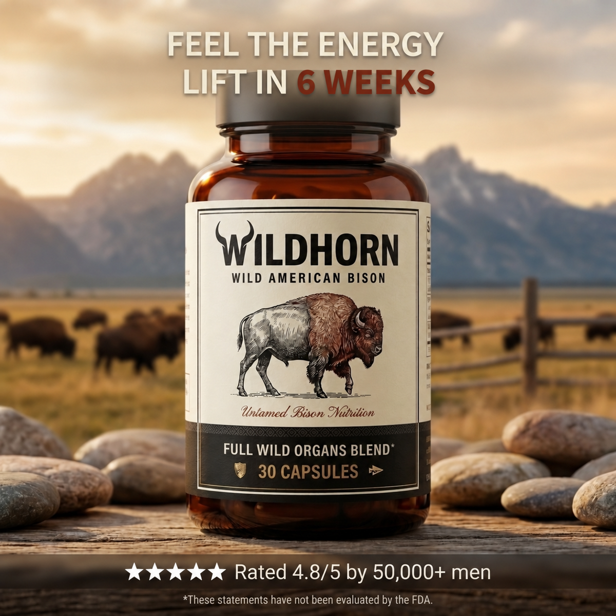 Wild Bison | 4 Wild Organs