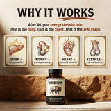 Wild Bison | 4 Wild Organs 3