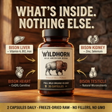 Wild Bison | 4 Wild Organs 4