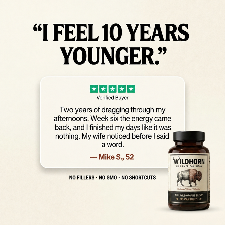 Wild Bison | 4 Wild Organs 6