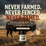 Wild Bison | Testosterone Booster 7